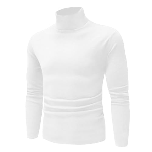 Mens Casual Slim Fit Basic Shirt Knitted Lightweight Pullover Turtleneck Sweater